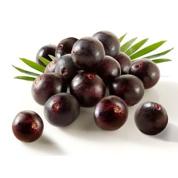 Açaí (extrato seco 10% Polyphenols)