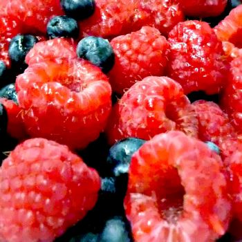 Chá de Frutos Silvestres