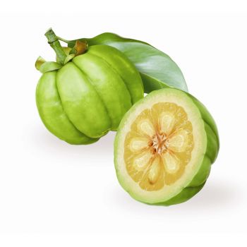 Garcínia (extrato seco 50%)